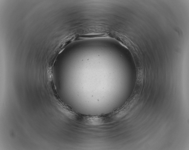 X0000115680383200911121251