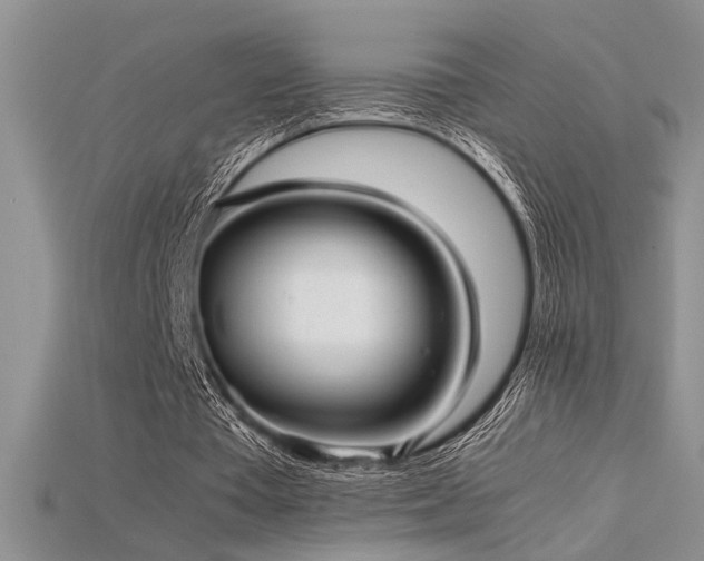 X0000115680385200911121251