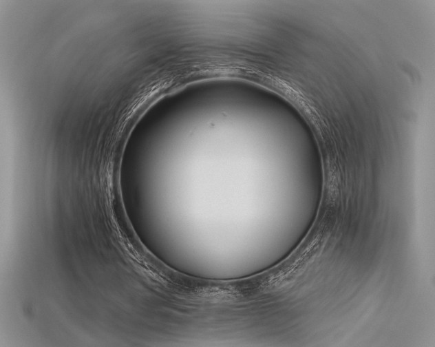 X0000115680386200911121251