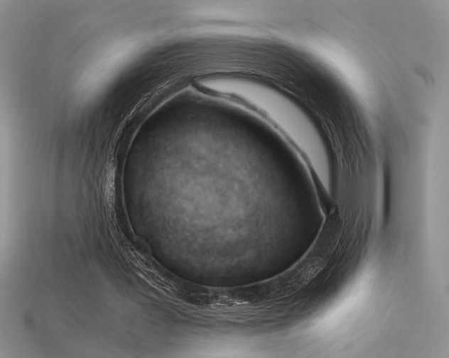 X0000115680387200911121251