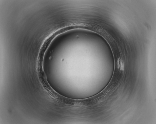 X0000115680388200911121251