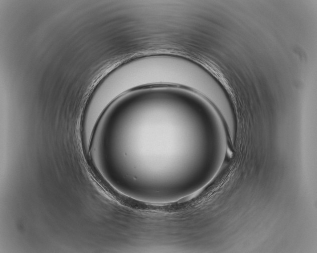 X0000115680389200911121251