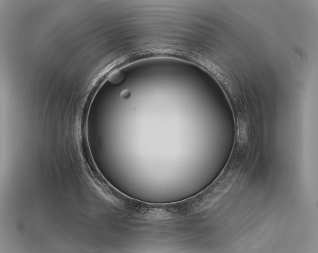 X0000115680390200911121251