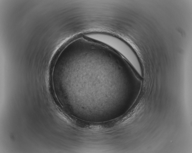 X0000115680391200911121251