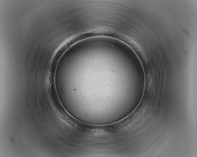 X0000115680392200911121251