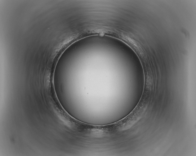 X0000115680394200911121251