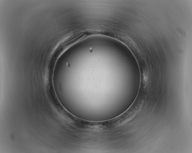 X0000115680396200911121251