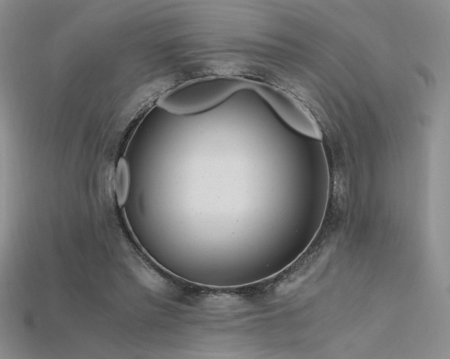 X0000115680397200911121251