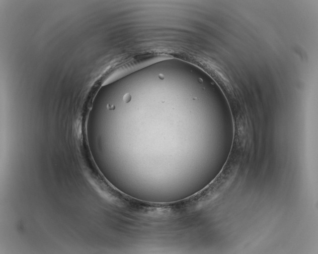 X0000115680398200911121251