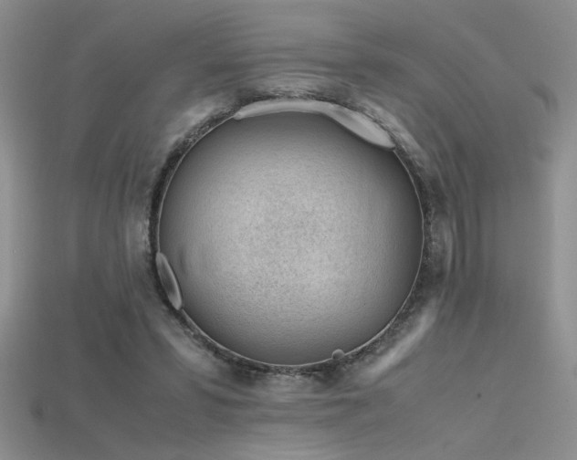 X0000115680399200911121251