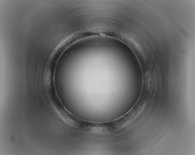 X0000115680400200911121251