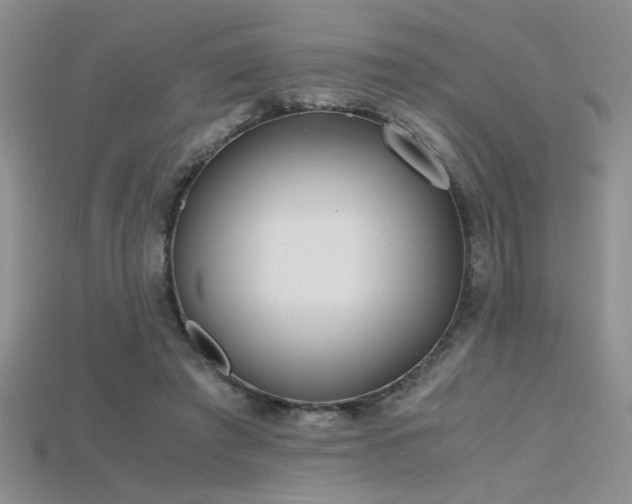 X0000115680401200911121251