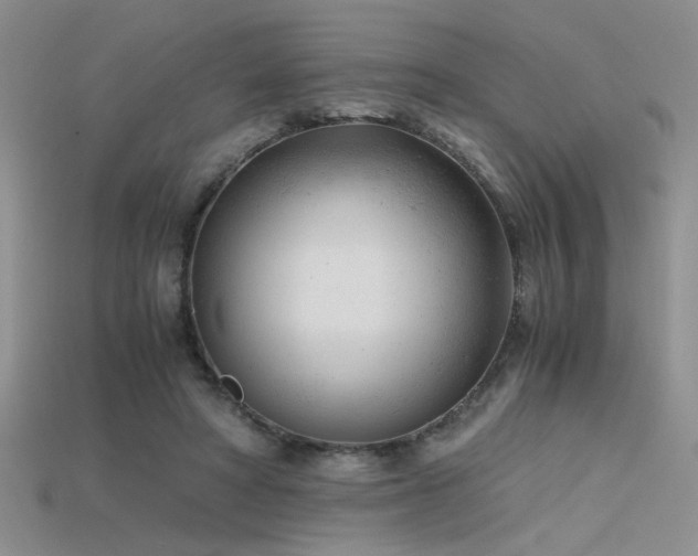 X0000115680402200911121251