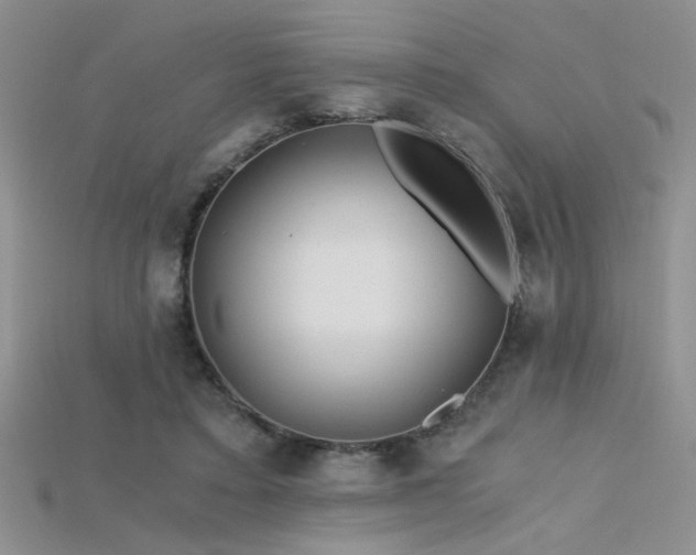 X0000115680403200911121251