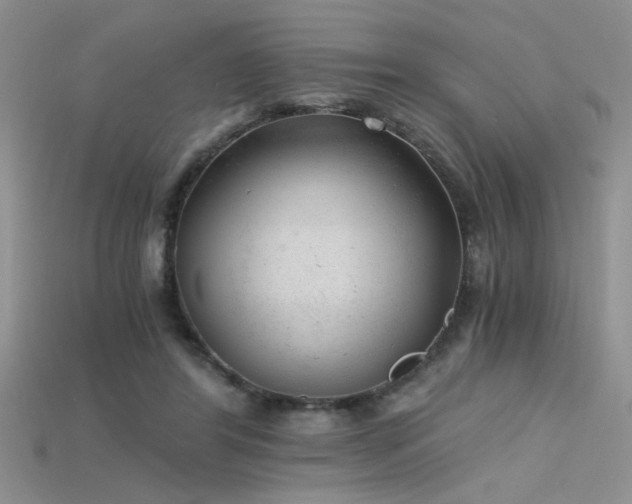 X0000115680404200911121251