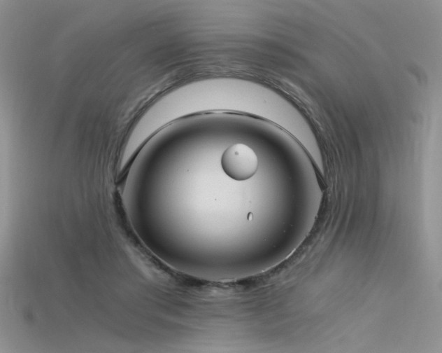 X0000115680405200911121251