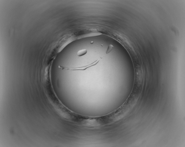 X0000115680406200911121251