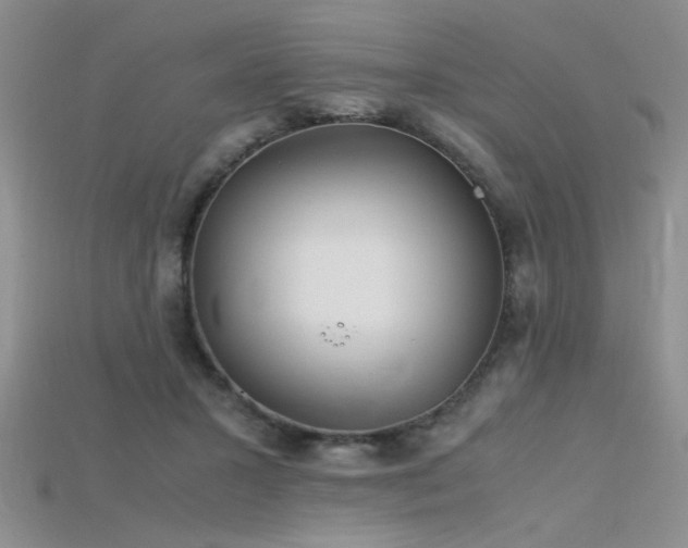 X0000115680407200911121250