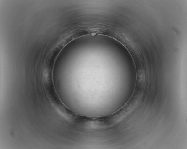 X0000115680408200911121250