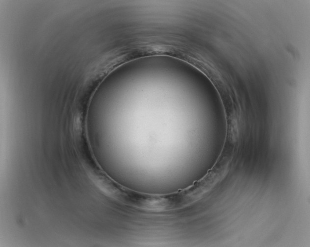 X0000115680410200911121250