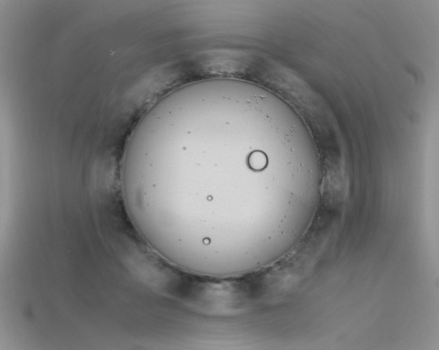 X0000115680411200911121250