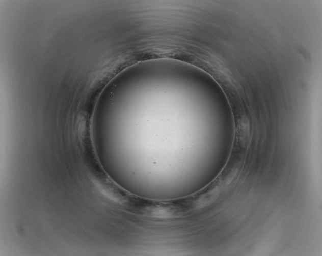 X0000115680412200911121250