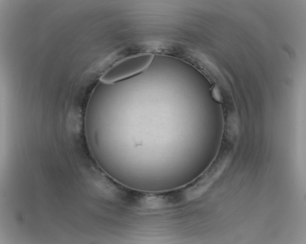 X0000115680413200911121250