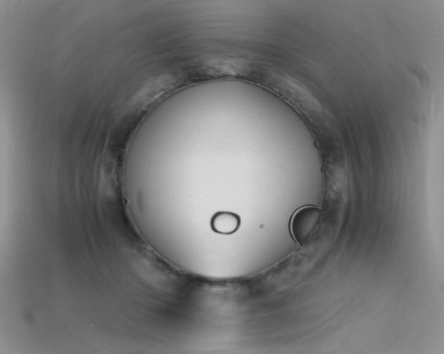 X0000115680414200911121250