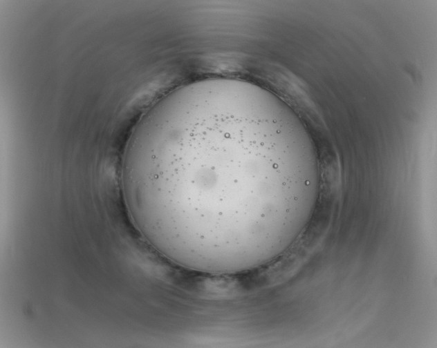 X0000115680415200911121250