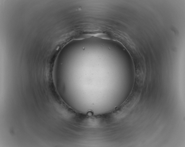 X0000115680416200911121250