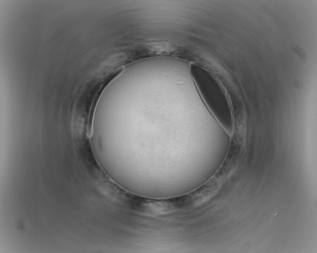 X0000115680417200911121250