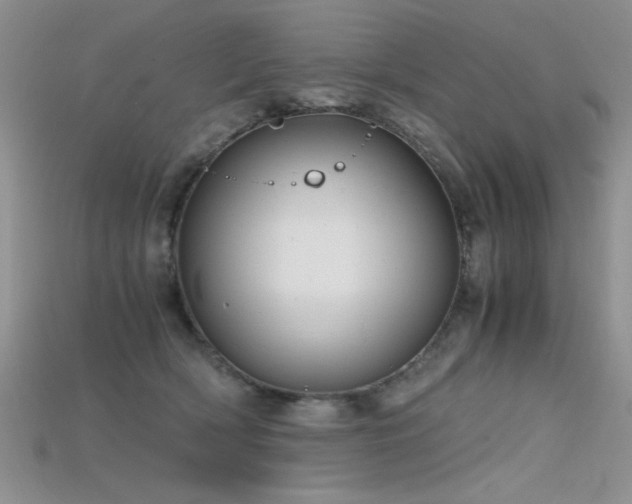 X0000115680418200911121250