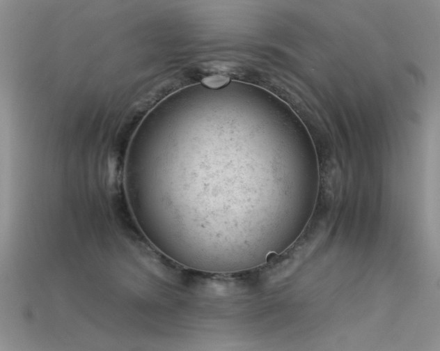 X0000115680420200911121250