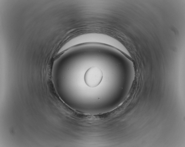 X0000115680421200911121250