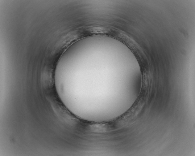 X0000115680422200911121250