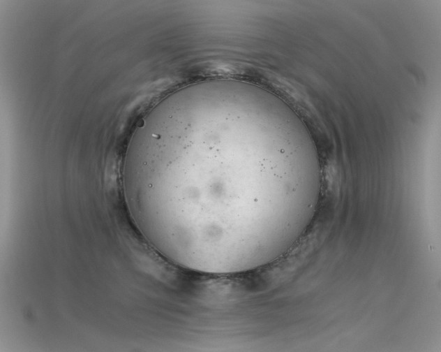 X0000115680423200911121250