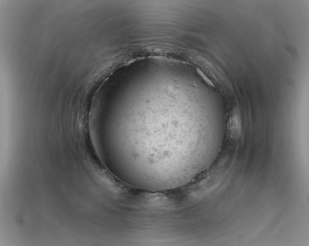 X0000115680424200911121250