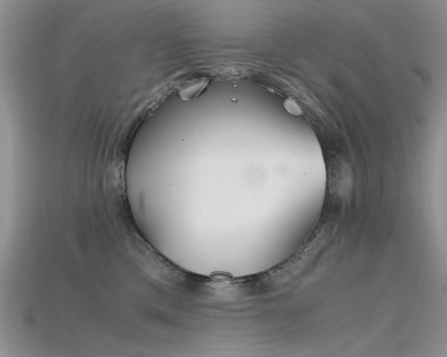 X0000115680425200911121250