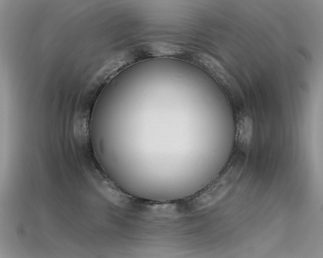 X0000115680426200911121250