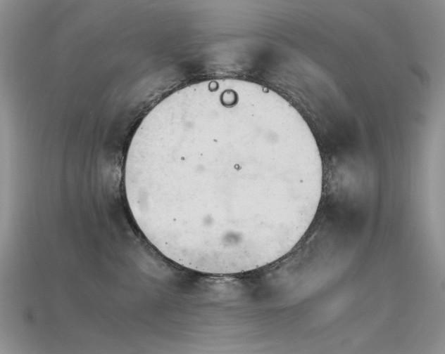 X0000115680427200911121250