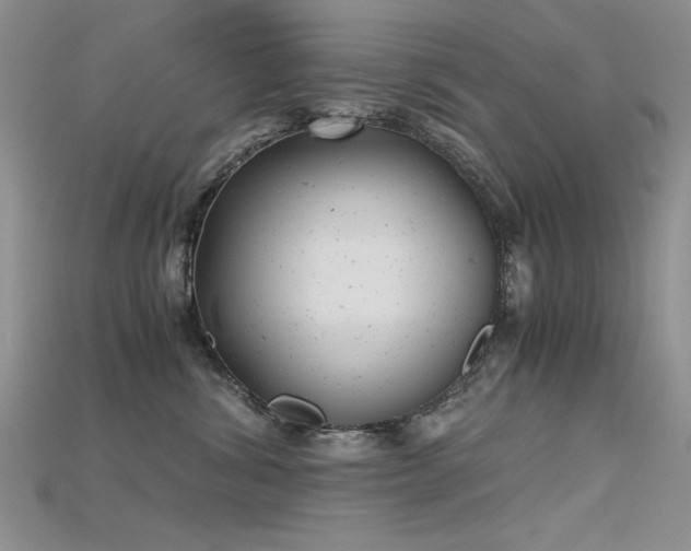 X0000115680428200911121250