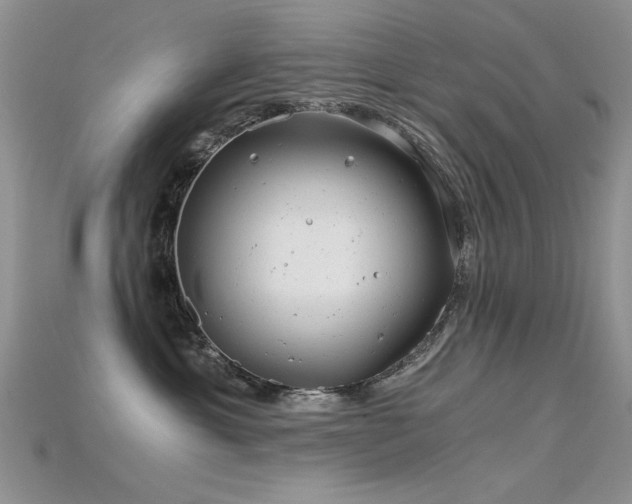 X0000115680429200911121250