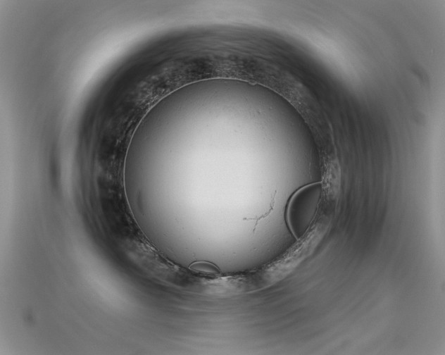 X0000115680430200911121250