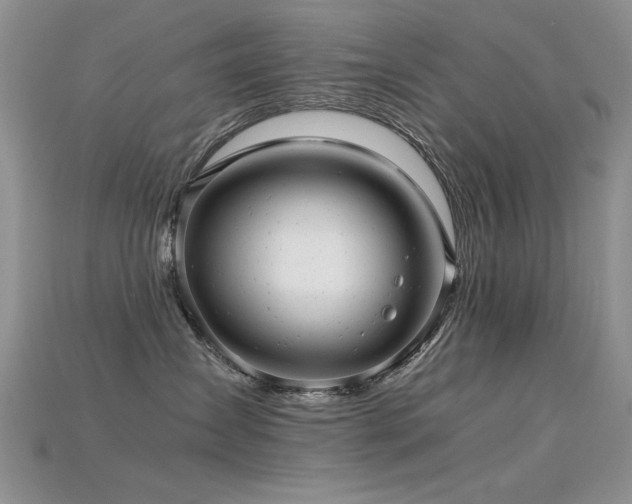 X0000115680431200911121250