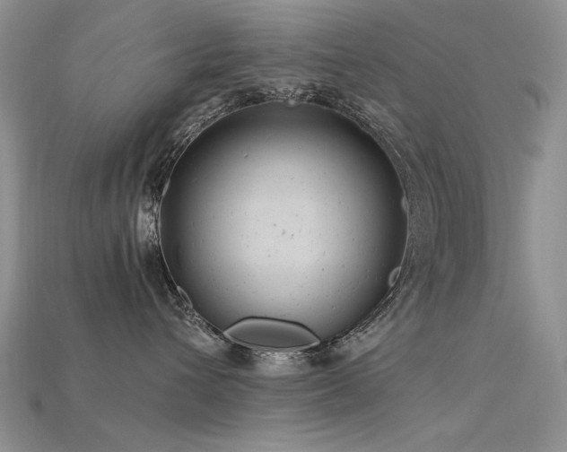 X0000115680432200911121250