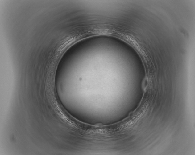 X0000115680433200911121249