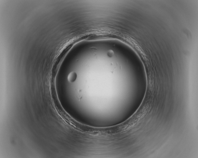 X0000115680434200911121249