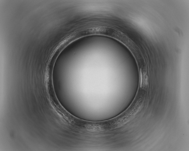 X0000115680435200911121249