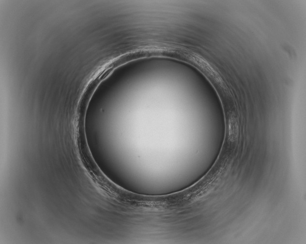 X0000115680436200911121249