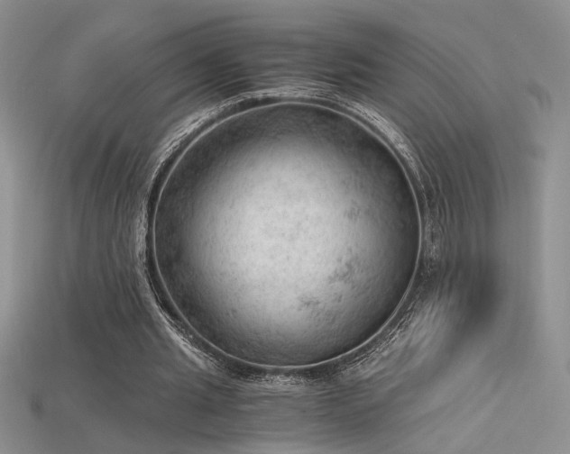 X0000115680437200911121249